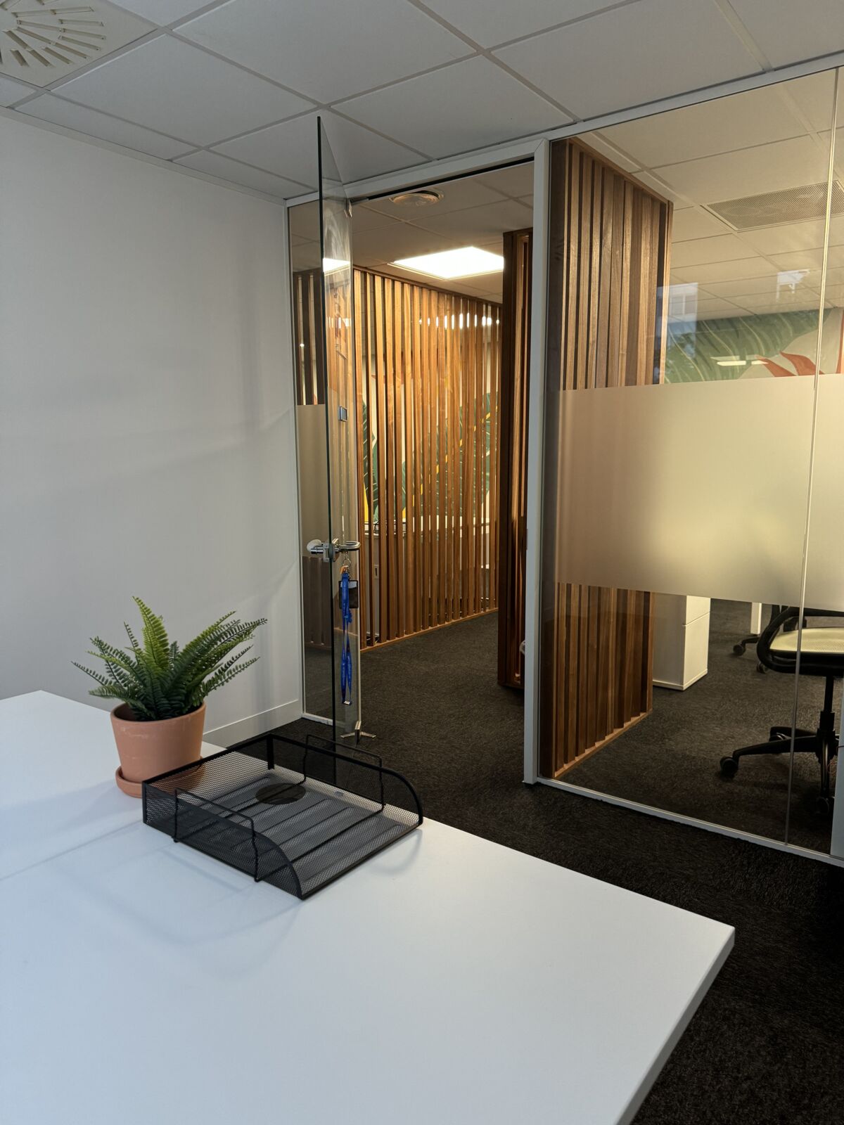 Serviced office at TBXH with a desk, slatted timber screen and plant